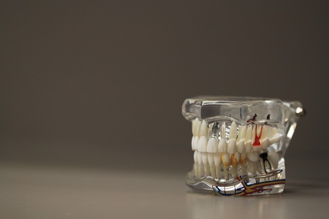 estética dental