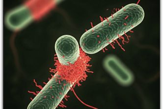 resistencia a los antibióticos