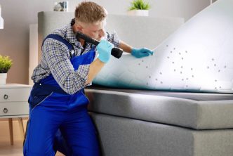 insecticidas para chinches