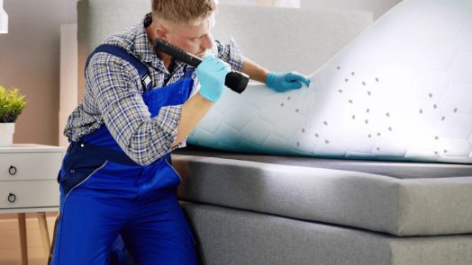insecticidas para chinches